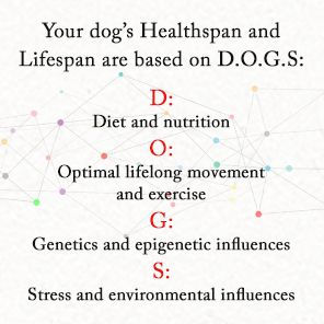 The Forever Dog: Surprising New Science to Help Your Canine Companion Live Younger, Healthier, and Longer