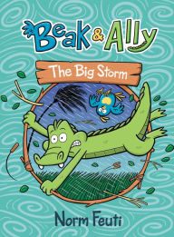 Title: The Big Storm (Beak & Ally #3), Author: Norm Feuti