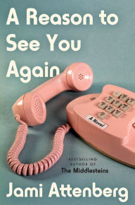 Real book e flat download A Reason to See You Again: A Novel