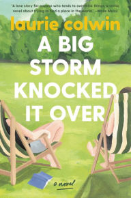 Free download books text A Big Storm Knocked It Over: A Novel