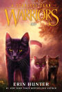 Sky (Warriors: A Starless Clan #2)