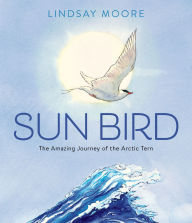 It ebook download Sun Bird: The Amazing Journey of the Arctic Tern