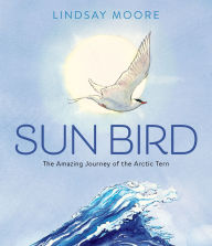 Title: Sun Bird: The Amazing Journey of the Arctic Tern, Author: Lindsay Moore