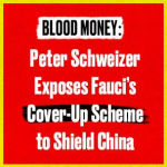 Alternative view 2 of Blood Money: Why the Powerful Turn a Blind Eye While China Kills Americans