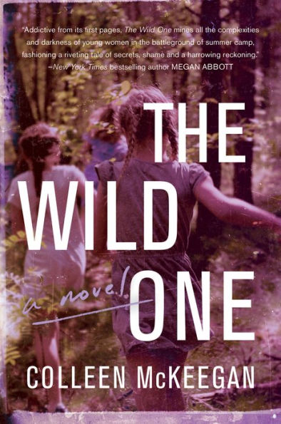 The Wild One: A Summer Beach Read