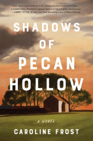 Public domain books pdf download Shadows of Pecan Hollow: A Novel English version 9780063065345 