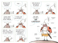 Alternative view 5 of Sir Ladybug
