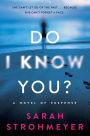 Do I Know You?: A Novel of Suspense