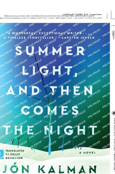 Summer Light, and Then Comes the Night: A Novel