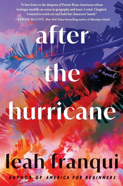 After the Hurricane: A Novel