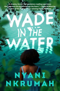 Ebooks gratis pdf download Wade in the Water: A Novel by Nyani Nkrumah