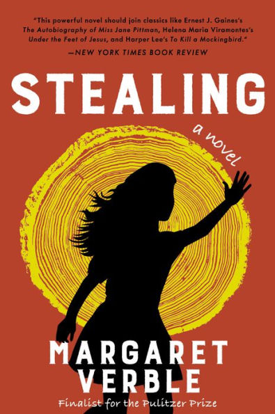 Stealing: A Novel