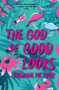 Google book downloader forum The God of Good Looks: A Novel RTF FB2 in English