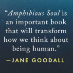 Alternative view 6 of Amphibious Soul: Finding the Wild in a Tame World