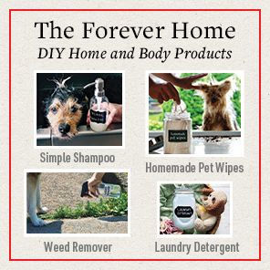 The Forever Dog Life: 120+ Recipes, Longevity Tips, and New Science for Better Bowls and Healthier Homes