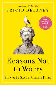 Ebooks in txt format free download Reasons Not to Worry: How to Be Stoic in Chaotic Times in English