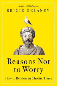 Title: Reasons Not to Worry: How to Be Stoic in Chaotic Times, Author: Brigid Delaney