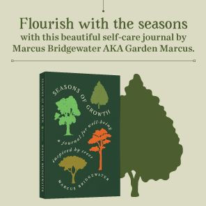 Seasons of Growth: A Journal for Well-Being Inspired by Trees