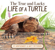 Title: The True and Lucky Life of a Turtle, Author: Sy Montgomery