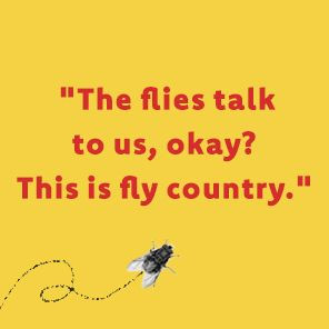 The Tyranny of Flies: A Novel