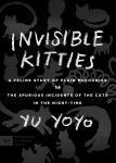 Alternative view 1 of Invisible Kitties: A Feline Study of Fluid Mechanics or The Spurious Incidents of the Cats in the Night-Time