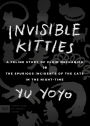 Invisible Kitties: A Feline Study of Fluid Mechanics or The Spurious Incidents of the Cats in the Night-Time