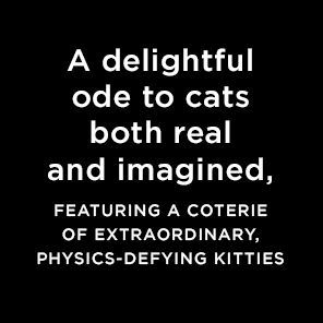 Invisible Kitties: A Feline Study of Fluid Mechanics or The Spurious Incidents of the Cats in the Night-Time