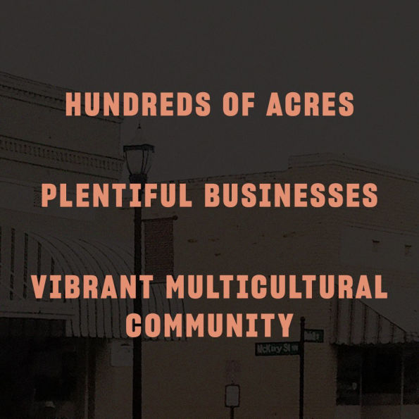 Black, White, Colored: The Hidden Story of an Insurrection, a Family, Southern Town, and Identity America