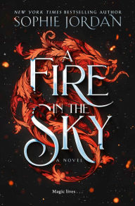 A Fire in the Sky: A Novel