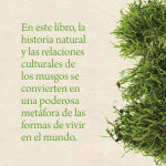 Alternative view 2 of Reserva de musgo: Una historia natural y cultural de los musgos Gathering Moss: A Natural and Cultural History of Mosses (Spanish Edition)