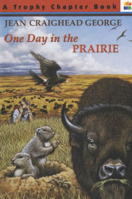 One Day in the Prairie