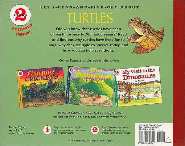 Look Out for Turtles!