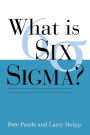 What Is Six SIGMA? / Edition 1