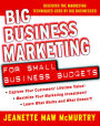 Big Business Marketing For Small Business Budgets