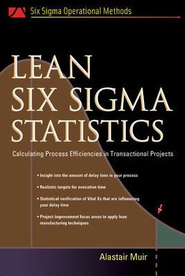Lean Six Sigma Statistics: Calculating Process Efficiencies in Transactional Project / Edition 1