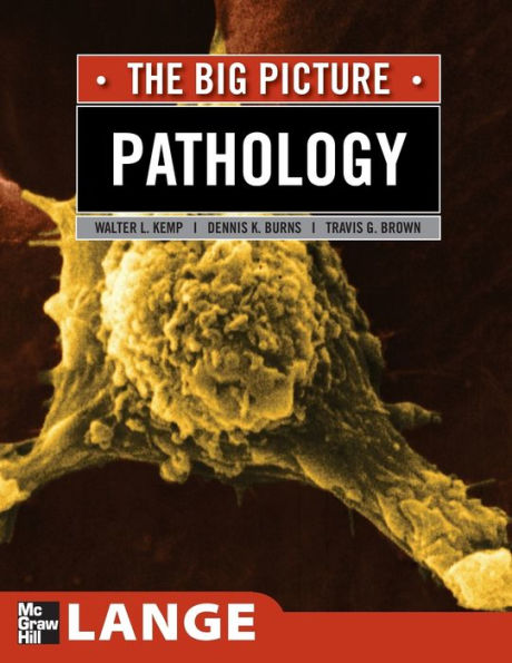 Pathology: The Big Picture / Edition 1