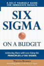 Six Sigma on a Budget: Achieving More with Less Using the Principles of Six Sigma