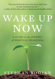 Title: Wake Up Now, Author: Stephan Bodian