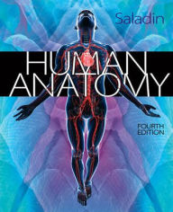 Title: Human Anatomy / Edition 4, Author: Kenneth S. Saladin Dr.