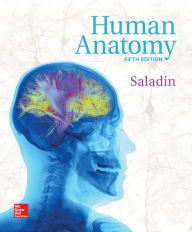 Title: Human Anatomy / Edition 5, Author: Kenneth S. Saladin Dr.