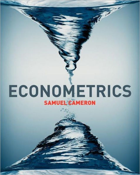 Econometrics with Online Learning Centre