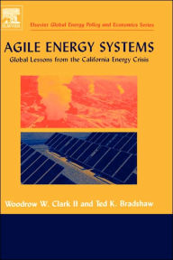 Title: Agile Energy Systems: Global Lessons from the California Energy Crisis, Author: Woodrow W. Clark II