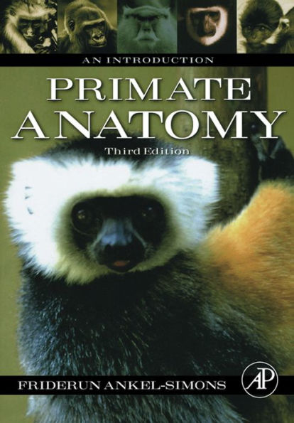 Primate Anatomy: An Introduction