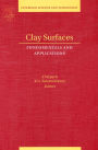 Clay Surfaces: Fundamentals and Applications