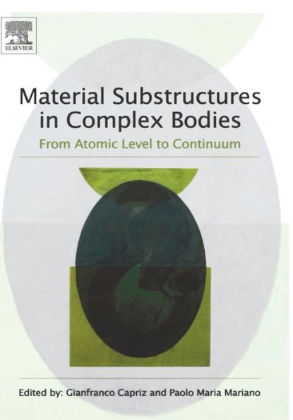 Material Substructures in Complex Bodies: From Atomic Level to Continuum