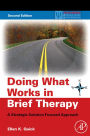 Doing What Works in Brief Therapy: A Strategic Solution Focused Approach