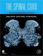The Spinal Cord: A Christopher and Dana Reeve Foundation Text and Atlas