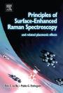 Principles of Surface-Enhanced Raman Spectroscopy: and Related Plasmonic Effects