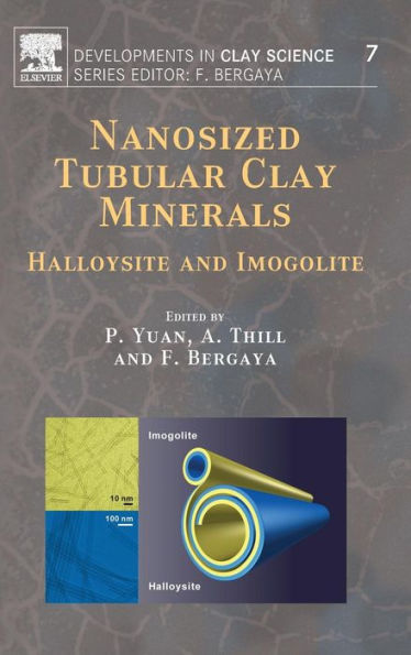 Nanosized Tubular Clay Minerals: Halloysite and Imogolite