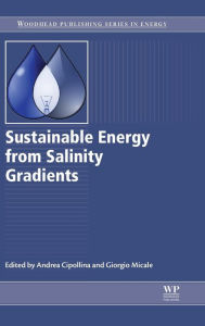 Sustainable Energy from Salinity Gradients